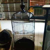 kandang kapsul lovebird LB besi merk Panda Bertebok
