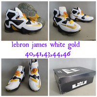 sepatu basket nike lebron james premium air jordan under armour volly.