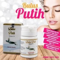 Jual Minyak Bulus Putih Original BPOM - Surabaya Murah