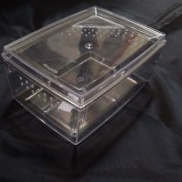 Kandang/ Enclosure Tarantula, Gecko, Serangga, dll (Size XL)