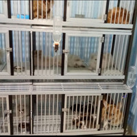 kandang anjing aluminium
