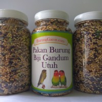 Pakan Burung Lovebird Gacor Siap Tempur dari Enam Jenis Biji-bijian