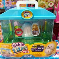 Little Live Pets Surprise Chick House / Mainan Anak Ayam
