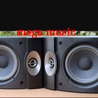 bose 8 inch speaker