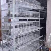 Kandang puyuh dan ayam petelur dari kaewat galvanis