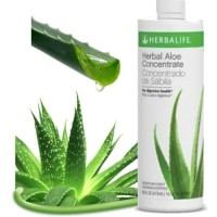 Shake Herbalife#Herbal Aloe Concentrate # Diet Herballife