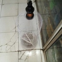 Kandang besi pleci panjang Murah