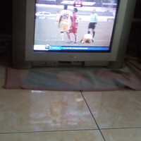 Harga Tv Lg 21 Inch Katalog.or.id Harga Tv Lg 21 Inch Katalog.or.id
