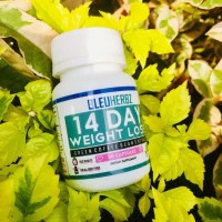 Jual Promo 2 Botol Green Coffee Bean Extract|Kopi Hijau Diet Asli 100% Hot Murah