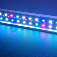 60cm 28w Dimmer Timer Led Aquascape Lampu Aquarium Coral Reptile