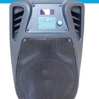 PORTABLE SOUND BLUETOOTH PA SYSTEM RECORD WAS-110 FV Promo