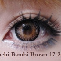 Promo Acessoris warna mata Softlens EOS A3 Bambi Brown Coklat