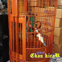 kandang anis whambie merk BnR