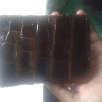 dompet kulit buaya asli dari merauke