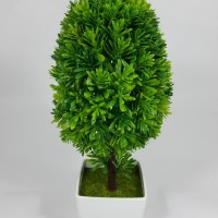 Bonsai Oval Hijau Kecil