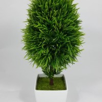 Bonsai Oval Hijau Kecil