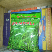 BIBIT BIJI KANGKUNG CABUT 1KG