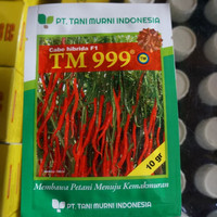 Benih Cabe Hibrida F1 Berkualitas TM 999