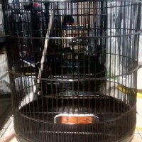 Kandang murai rafi jaya list Akrilik