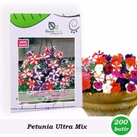 NEW Benih Bibit Bunga Petunia Ultra Mixed Haira Seed