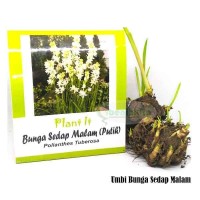 Benih-Bibit Umbi Bunga Sedap Malam - Mix Garden