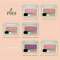 Harga Blush On Pixy Katalog.or.id Harga Blush On Pixy Katalog.or.id