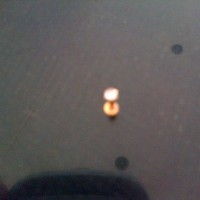 Anting hidung emas murni