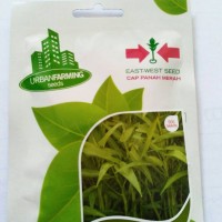 Tanaman Kebun Benih / bibit kangkung bangkok - Paling banyak dicari