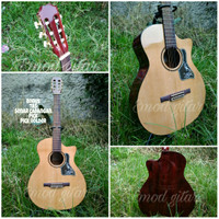 gitar akustik klasik taylor senar nilon free softcase yamaha ibanez fe