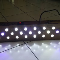 Lampu LED Aquarium 29 mata (27 putih 2 biru) 70×15 cm acrylic hitam