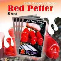 Benih Bibit Biji Tanaman Cabai Red Petter Cabe Hias Unik 8 Seed
