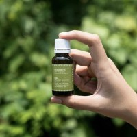 CItronella Oil / Minyak Sereh/Serai Wangi