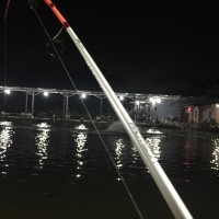 Joran Pancing Daiwa Provisor 180 Cm