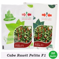 NEW Benih Cabe Rawit Pelita F1 Kemasan Personal Pouch Cap Panah Merah
