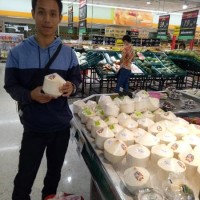 promo Bibit Kelapa Pandan Wangi Thailand Asli Import murah