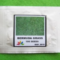 Grosir Original Bibit Benih Biji Rumput Bermuda Grass Mini Pack - GP