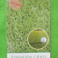 Grosir Original Bibit Benih Rumput Bermuda Grass Maica Leaf Pack