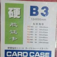 Card case mica