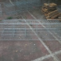 Produsen kandang ayam petelur dari kawat galvanis