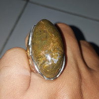 Bacan Doko Gurango Hati Hiu - Cincin Batu Akik