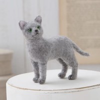 Harga Russian Blue Cat Katalog.or.id Harga Russian Blue Cat Katalog.or.id