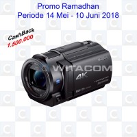 Sony FDR-AX40 4K Handycam