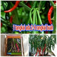 EKLUSIF Bibit Benih Cabe Lotanbar persachet
