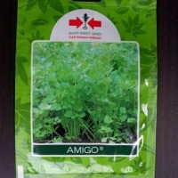 Promo BENIH SELEDRI AMIGO CAP PANAH MERAH