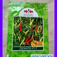 Bibit 1 Pack 2250 Benih Cabe Cabai Rawit Dewata F1 Cap Panah Merah