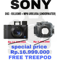 SONY POCKET CAMERA DSC-RX100M5 + MPK-URX100A (underwater)