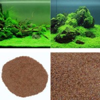 Bibit Rumput Air Dekorasi Aquarium - Coklat
