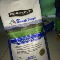 Bibit Taman kebun) Biji Rumput Bermuda/benih rumput dr USA