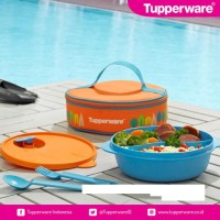 Sale Tupperware Fancy Crystalwave Lunch Set Tempat Makan Murah