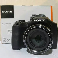 Kamera prosumer sony dsc H_300 kualitas mantap